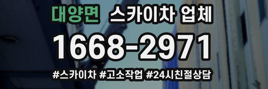 대양면 스카이차 업체