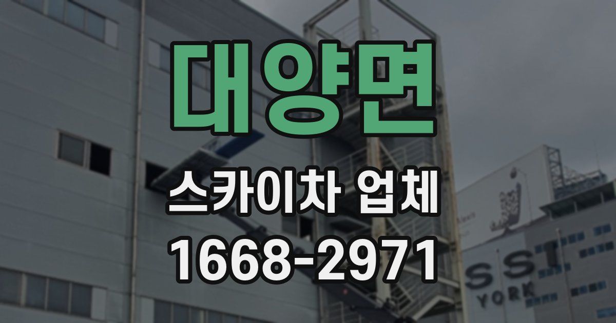 대양면 스카이차 업체