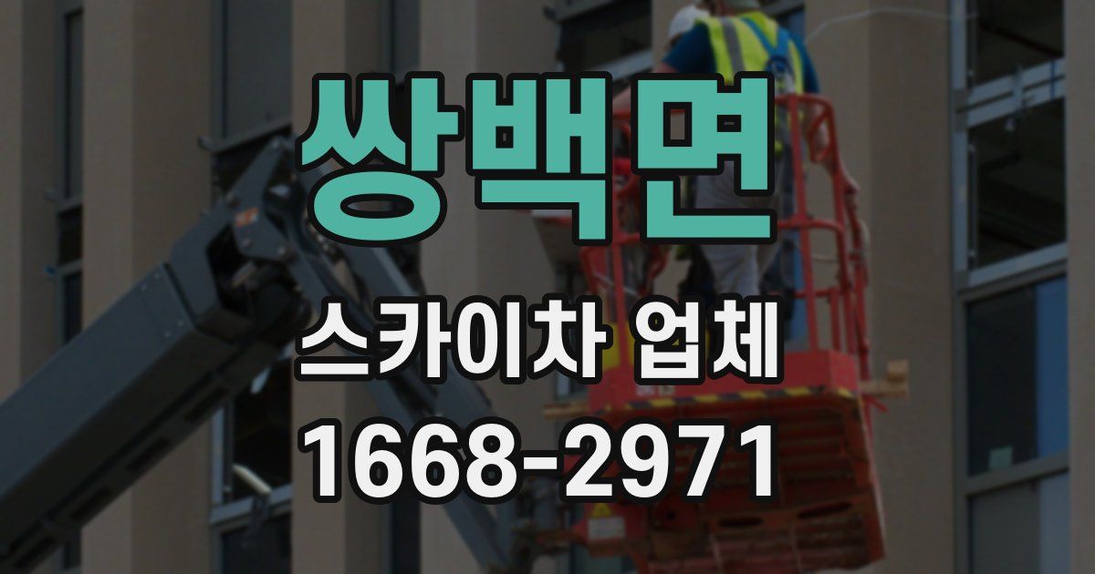 쌍백면 스카이차 업체