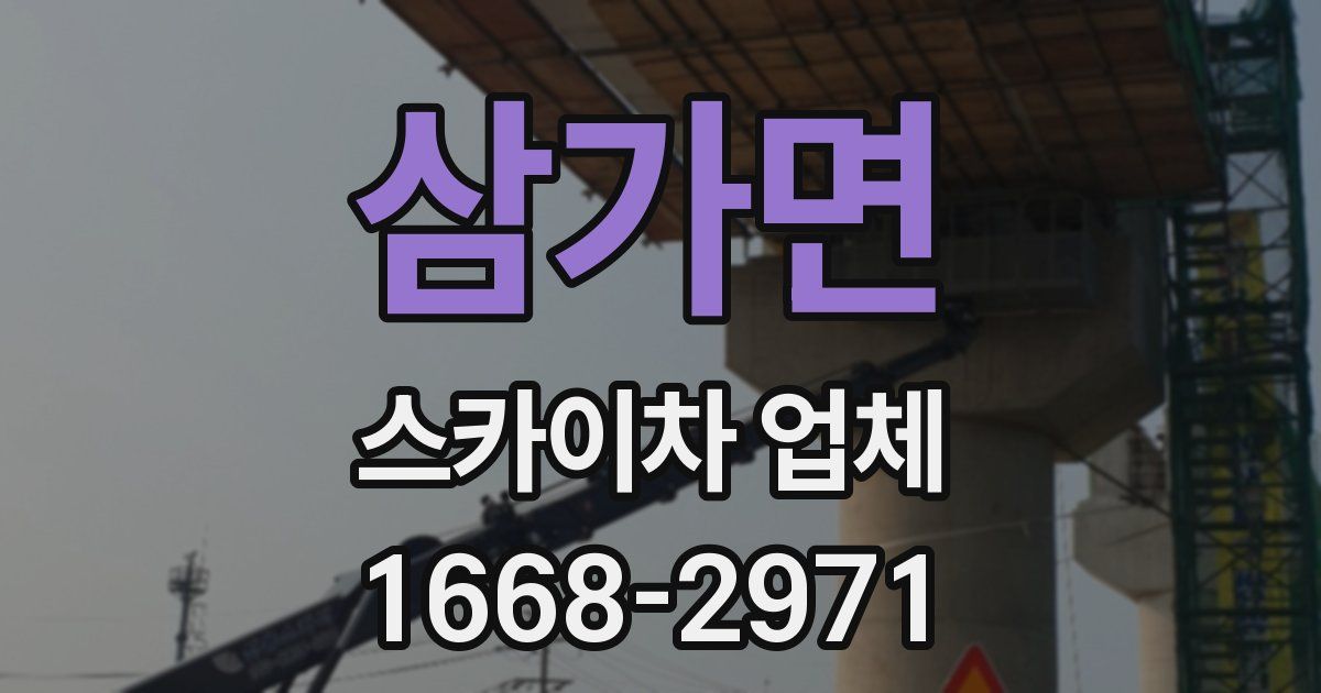 삼가면 스카이차 업체