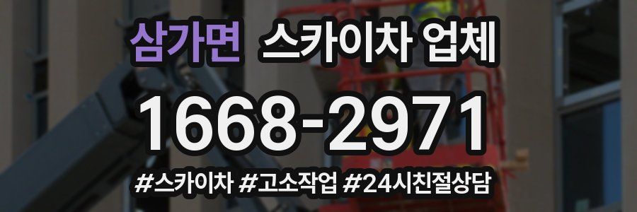 삼가면 스카이차 업체