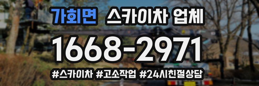 가회면 스카이차 업체