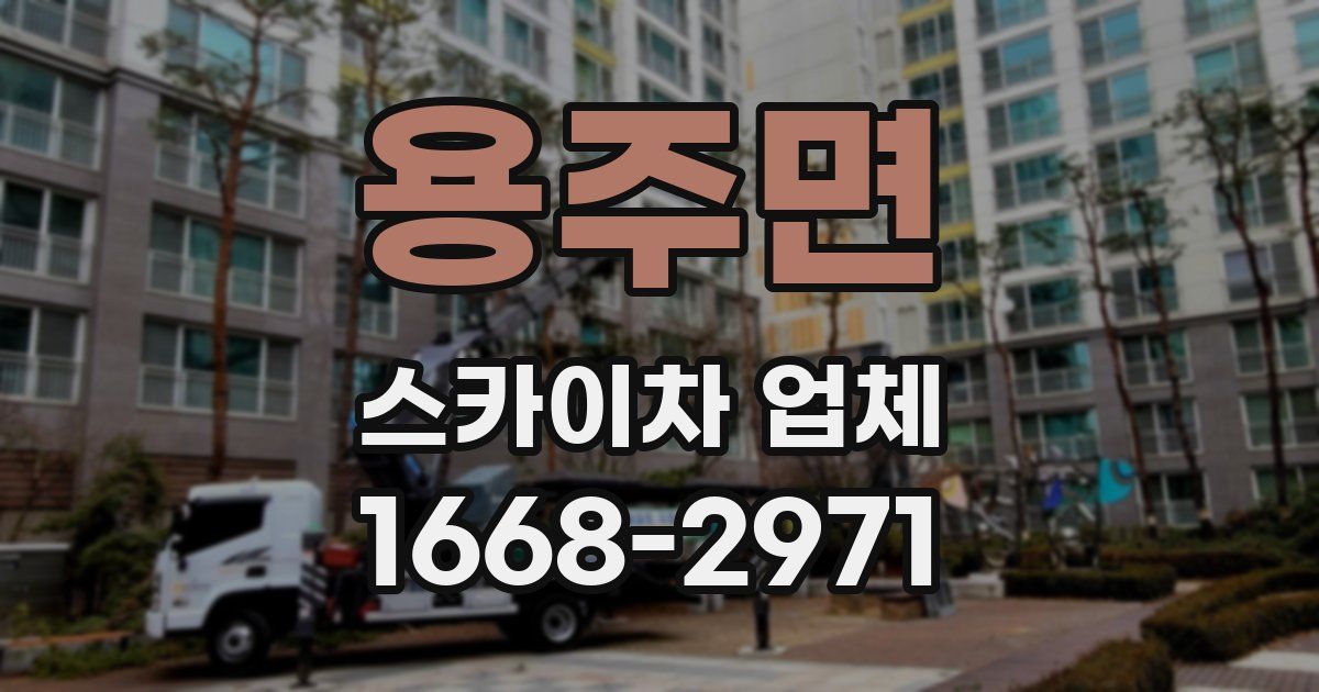 용주면 스카이차 업체