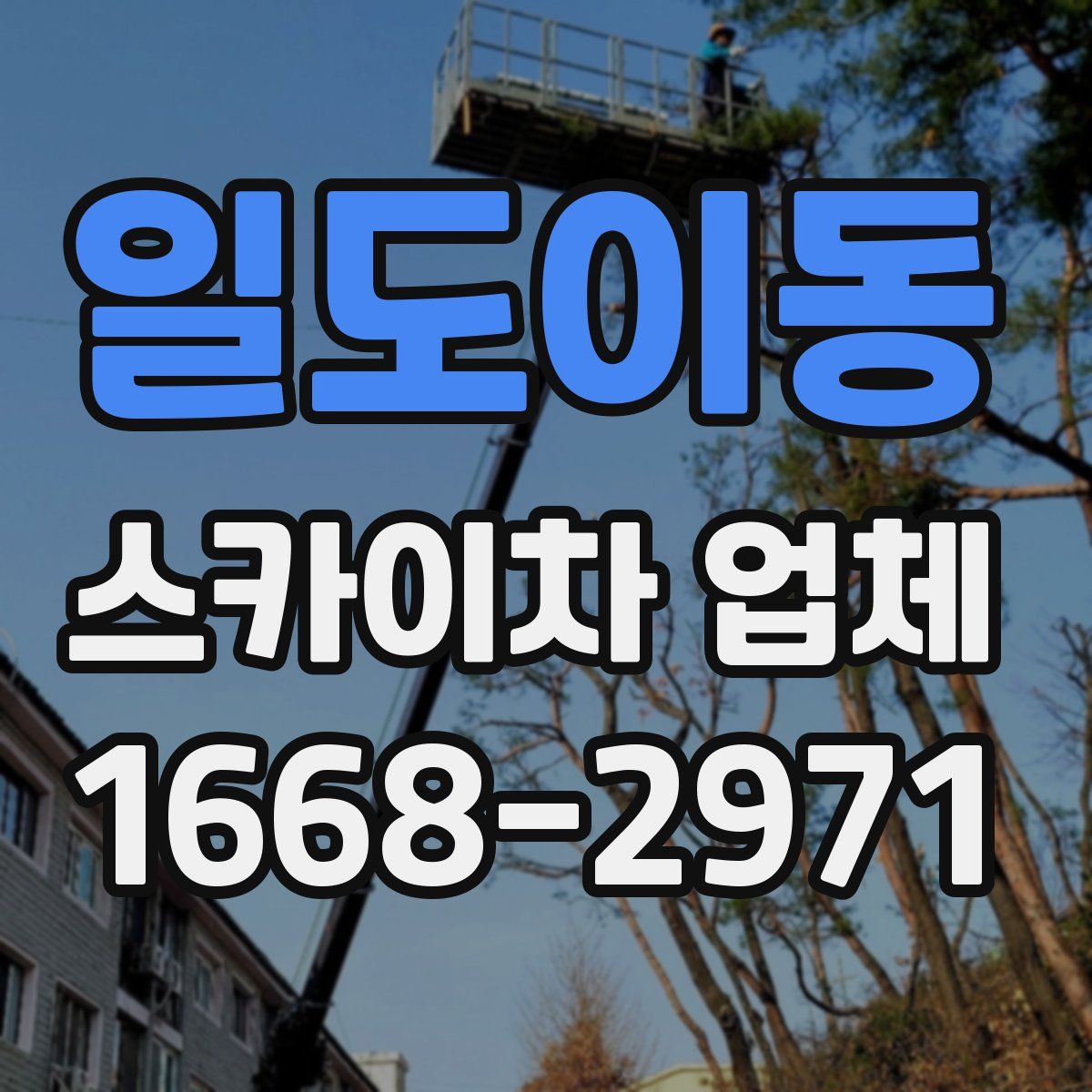 일도이동 스카이차 업체