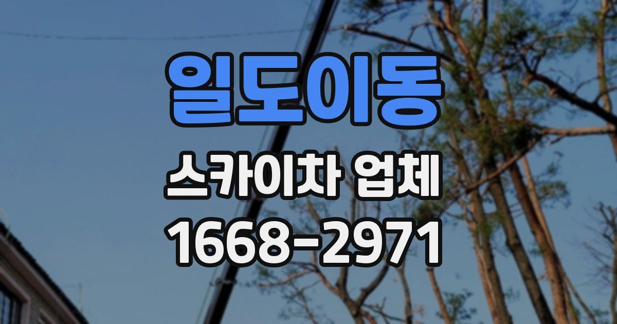 일도이동 스카이차 업체