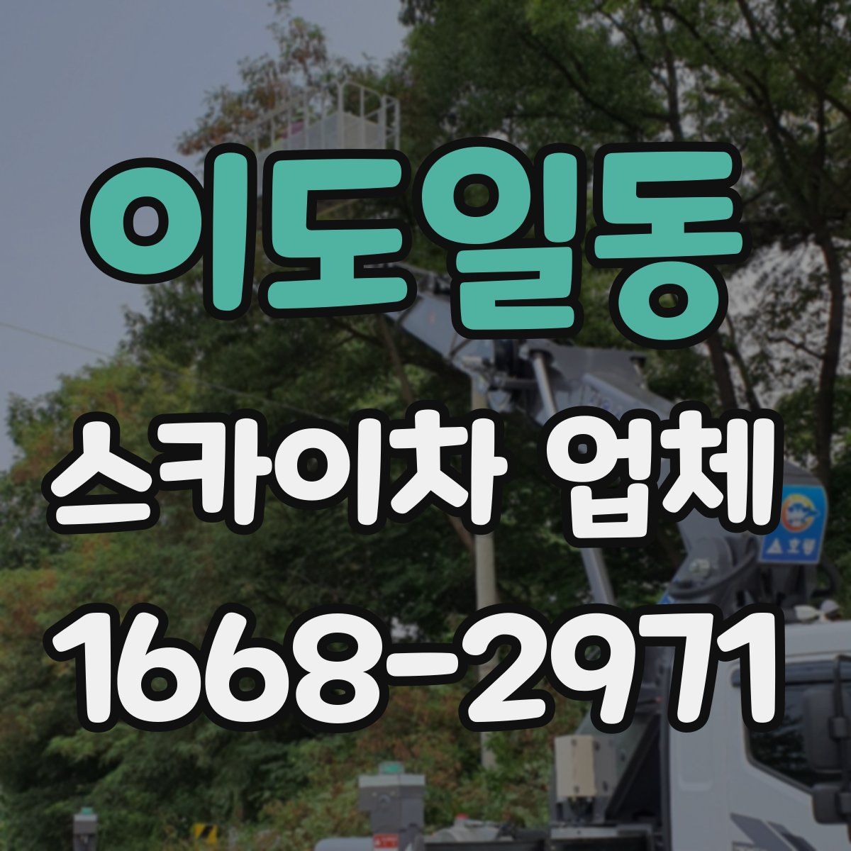 이도일동 스카이차 업체