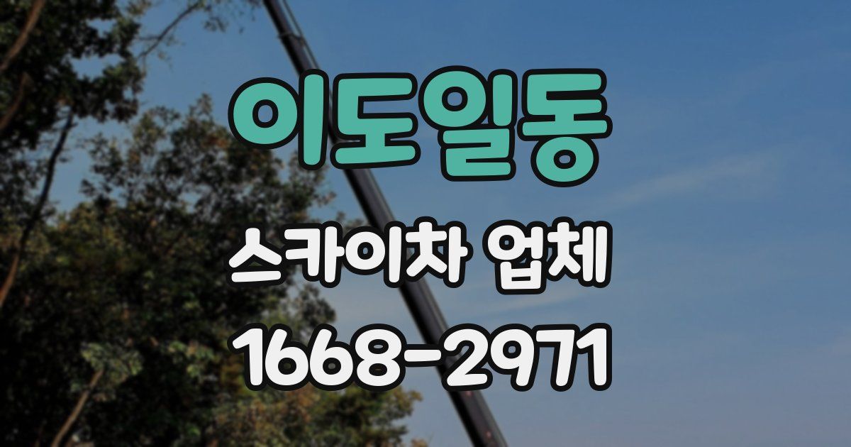 이도일동 스카이차 업체