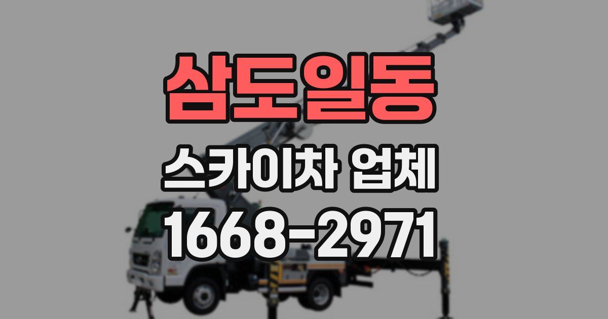 삼도일동 스카이차 업체