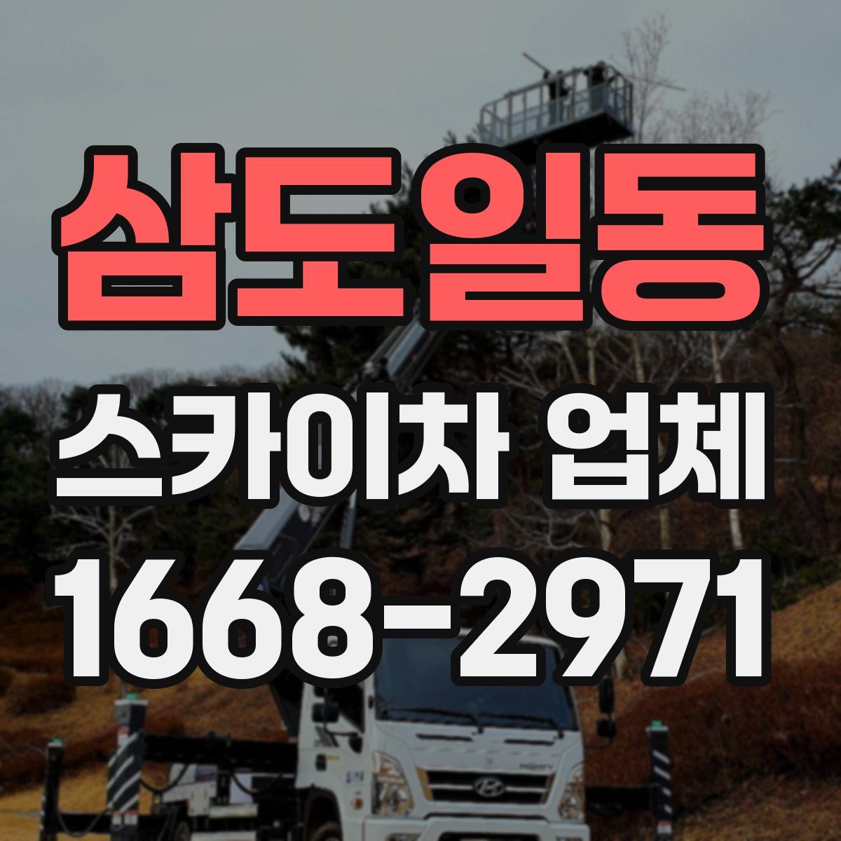 삼도일동 스카이차 업체