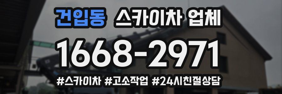 건입동 스카이차 업체