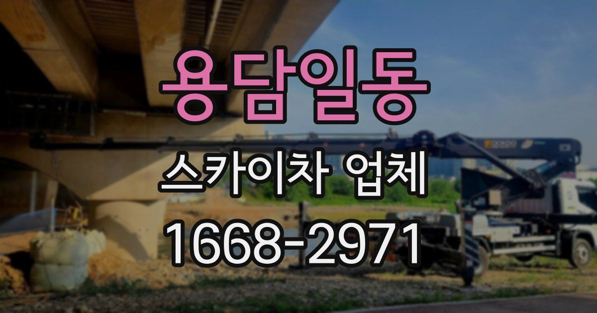 용담일동 스카이차 업체