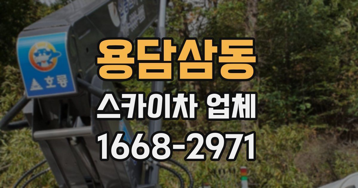 용담삼동 스카이차 업체