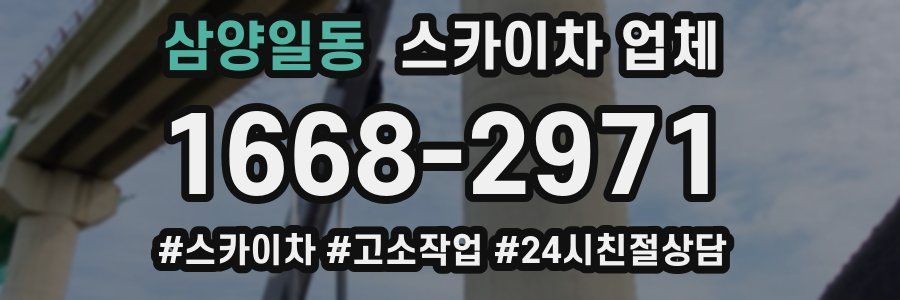 삼양일동 스카이차 업체