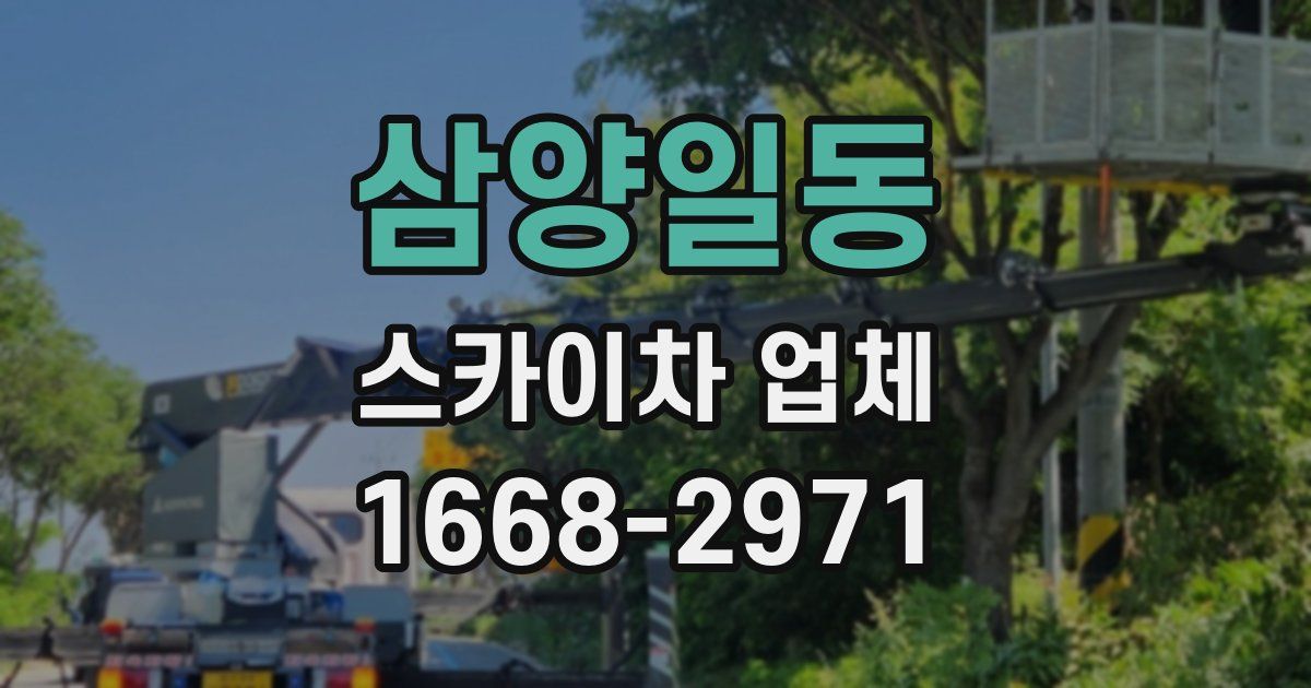 삼양일동 스카이차 업체