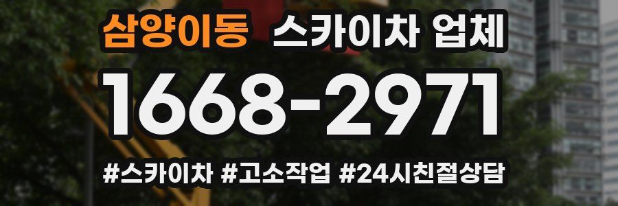 삼양이동 스카이차 업체