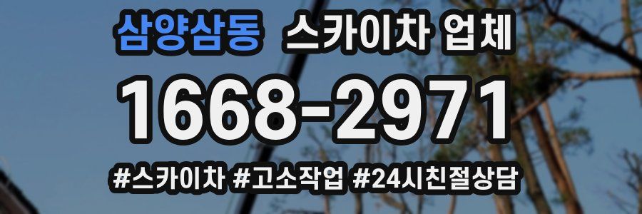 삼양삼동 스카이차 업체