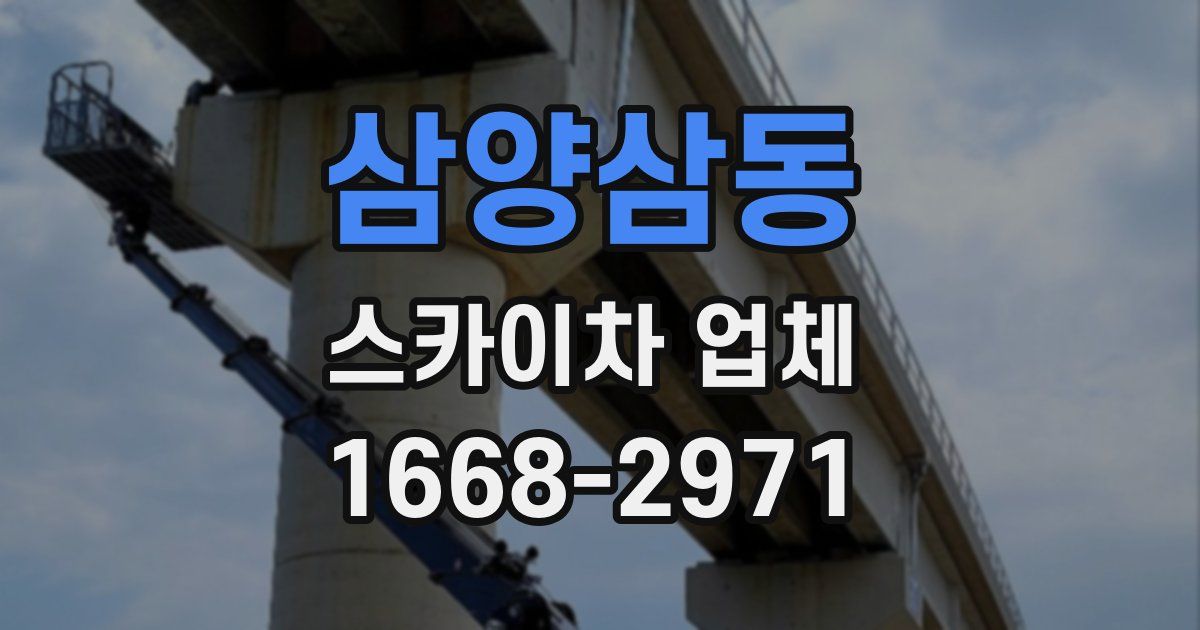 삼양삼동 스카이차 업체