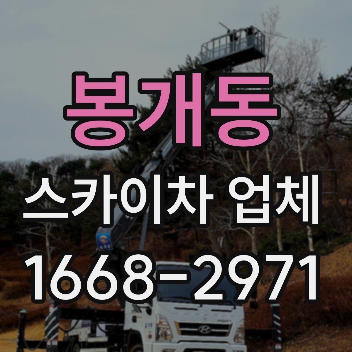 봉개동 스카이차 업체