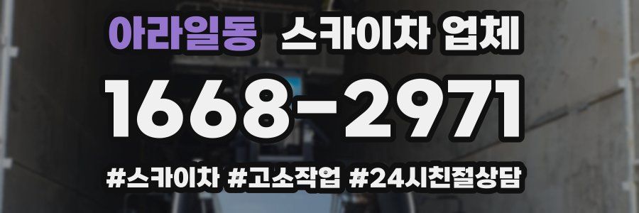 아라일동 스카이차 업체