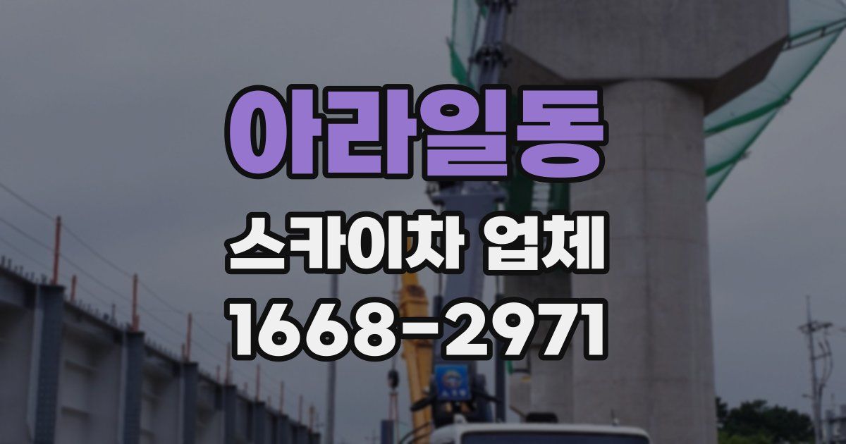 아라일동 스카이차 업체