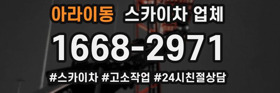 아라이동 스카이차 업체