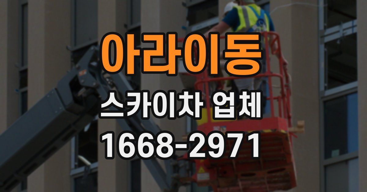 아라이동 스카이차 업체