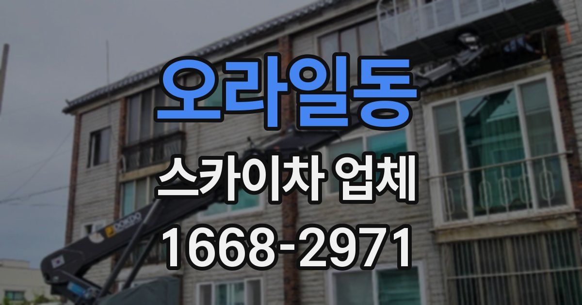 오라일동 스카이차 업체