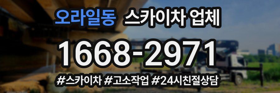 오라일동 스카이차 업체