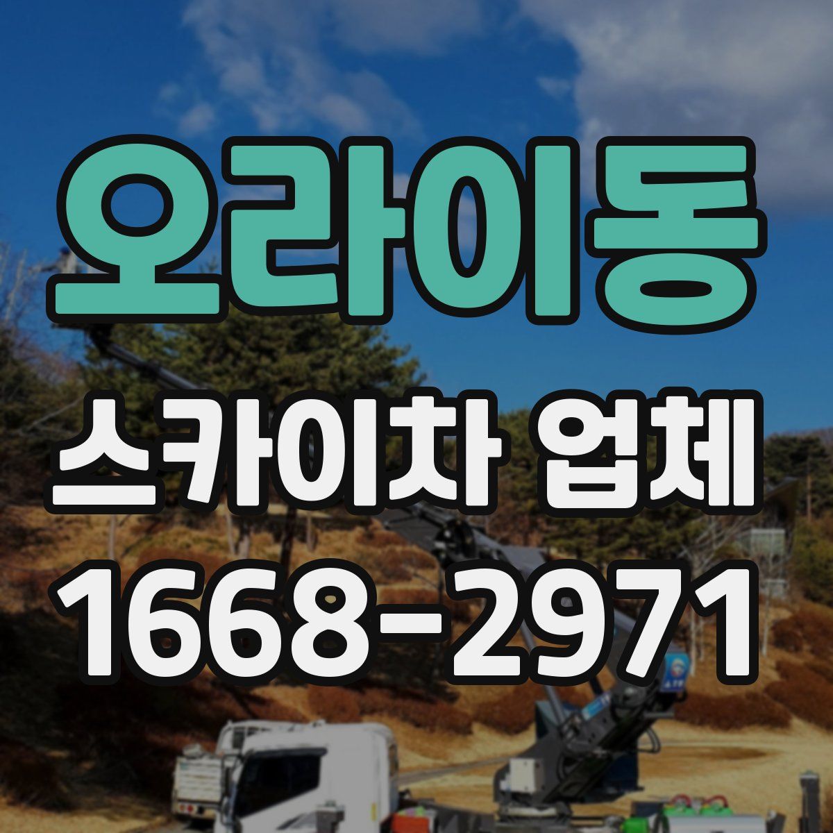 오라이동 스카이차 업체