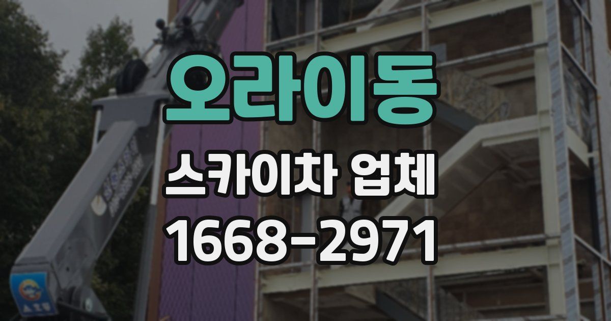 오라이동 스카이차 업체