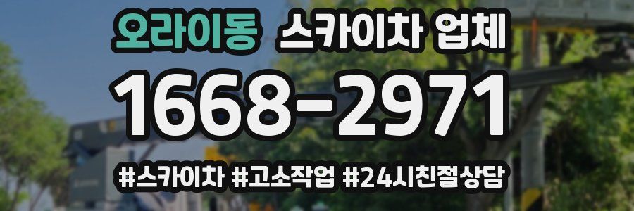 오라이동 스카이차 업체