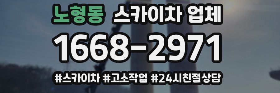 노형동 스카이차 업체