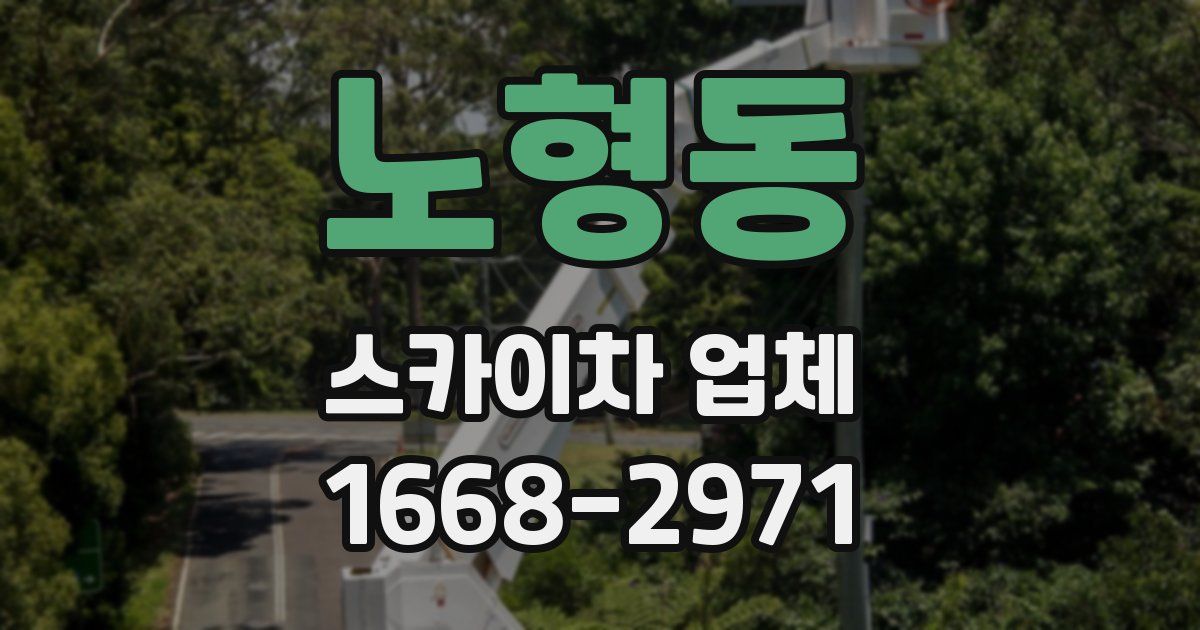노형동 스카이차 업체