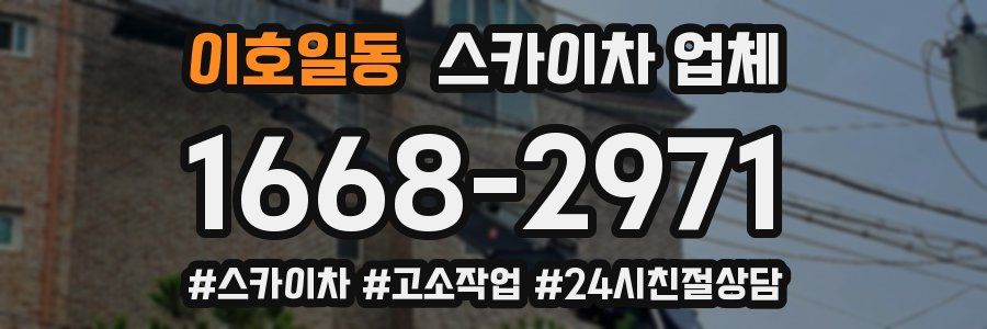 이호일동 스카이차 업체