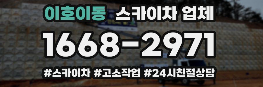 이호이동 스카이차 업체