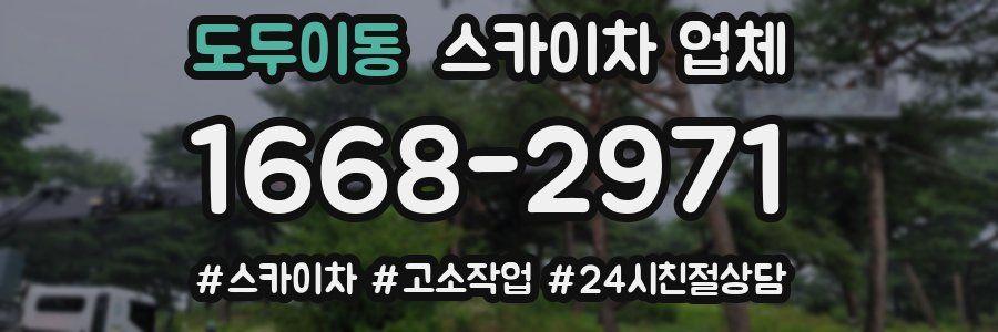도두이동 스카이차 업체