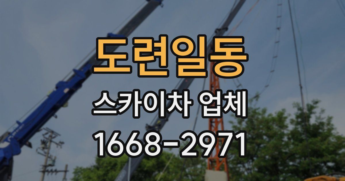 도련일동 스카이차 업체