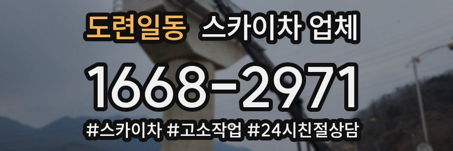 도련일동 스카이차 업체