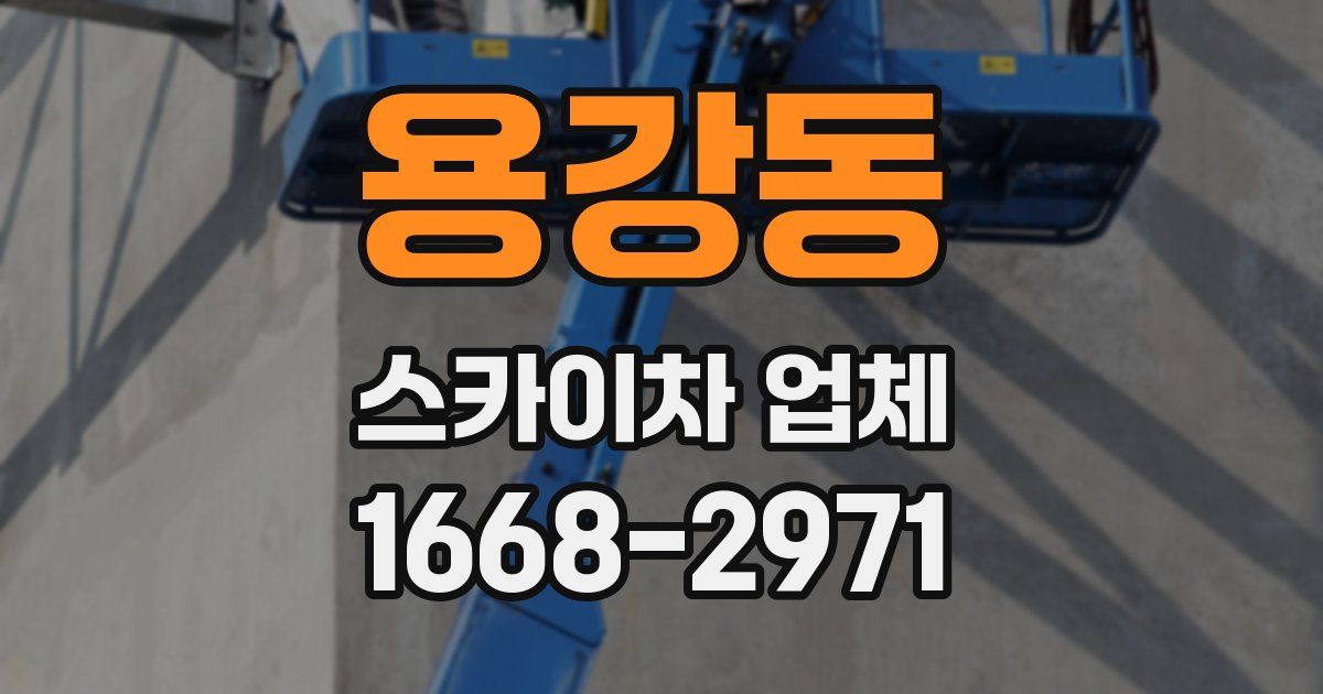 용강동 스카이차 업체