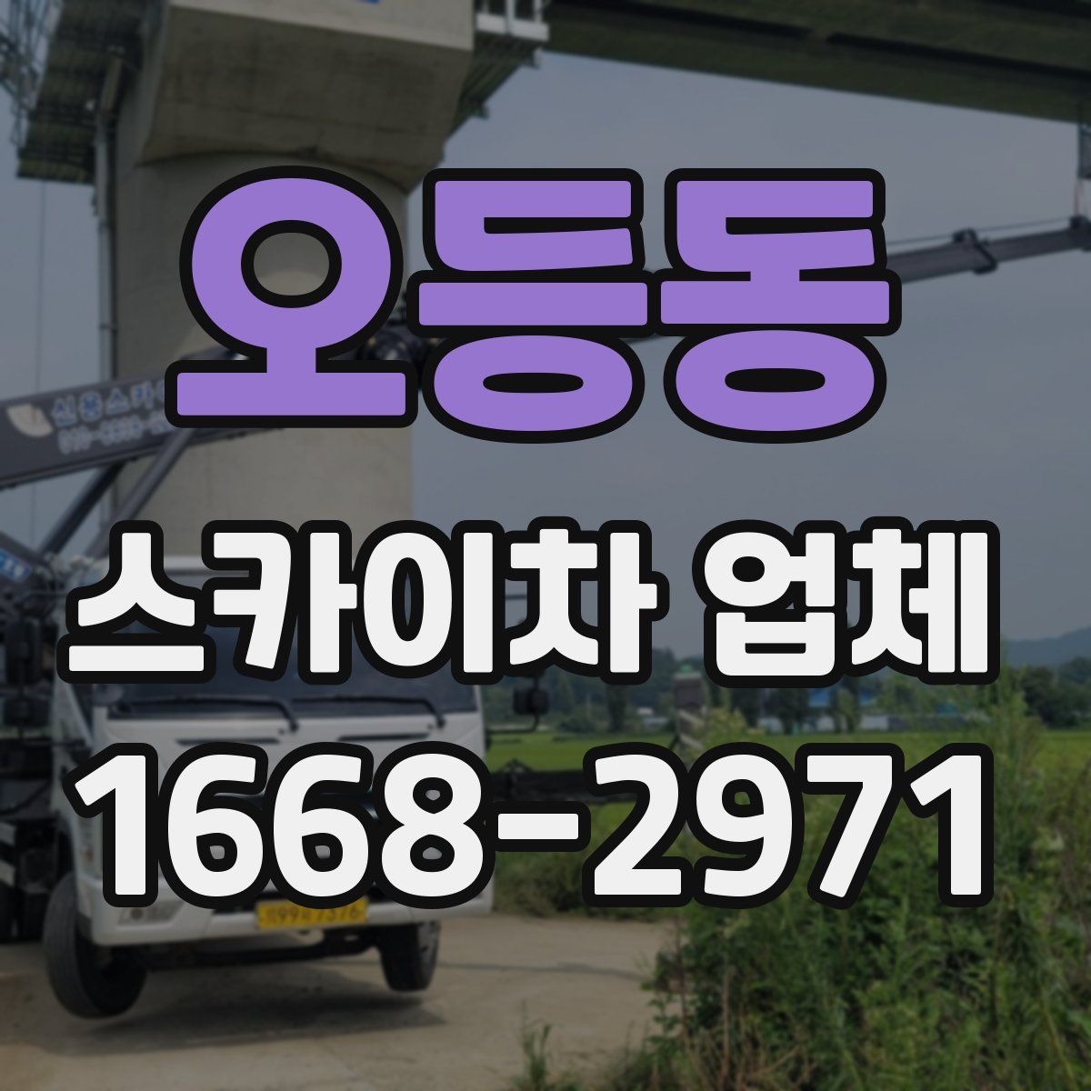 오등동 스카이차 업체