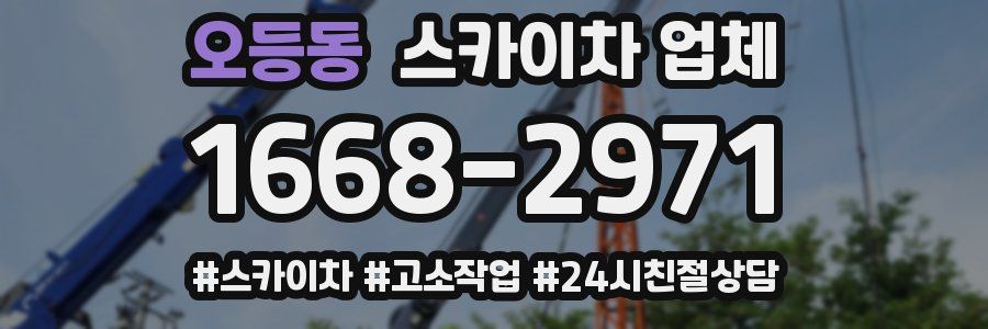 오등동 스카이차 업체
