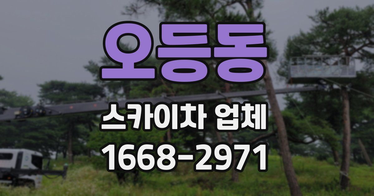 오등동 스카이차 업체