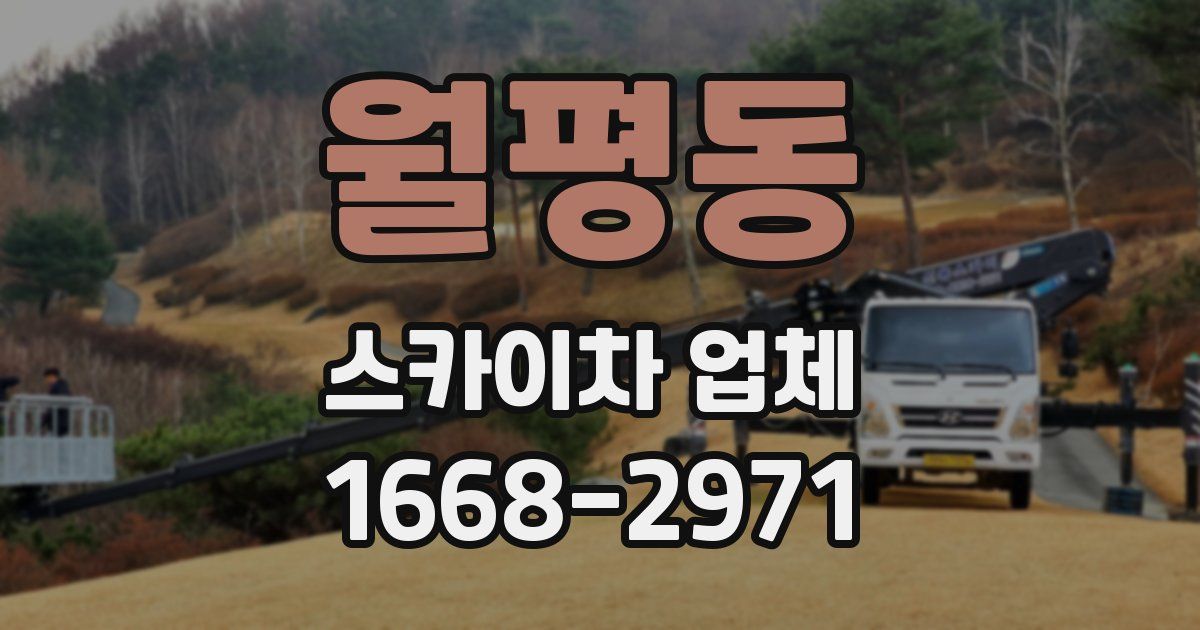 월평동 스카이차 업체