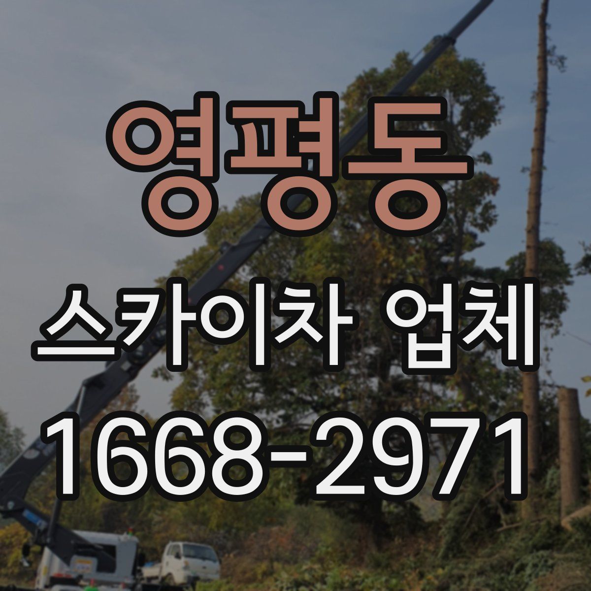 영평동 스카이차 업체