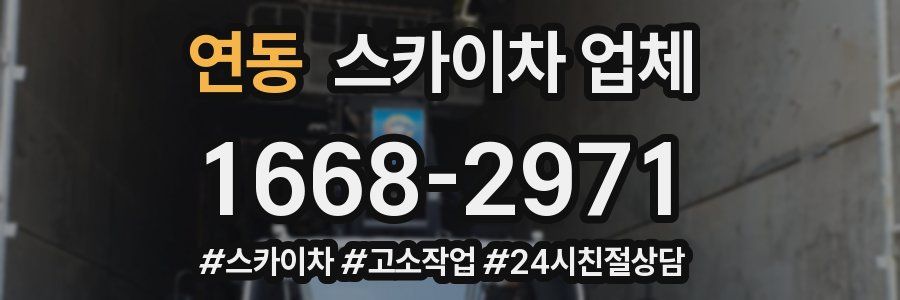 연동 스카이차 업체