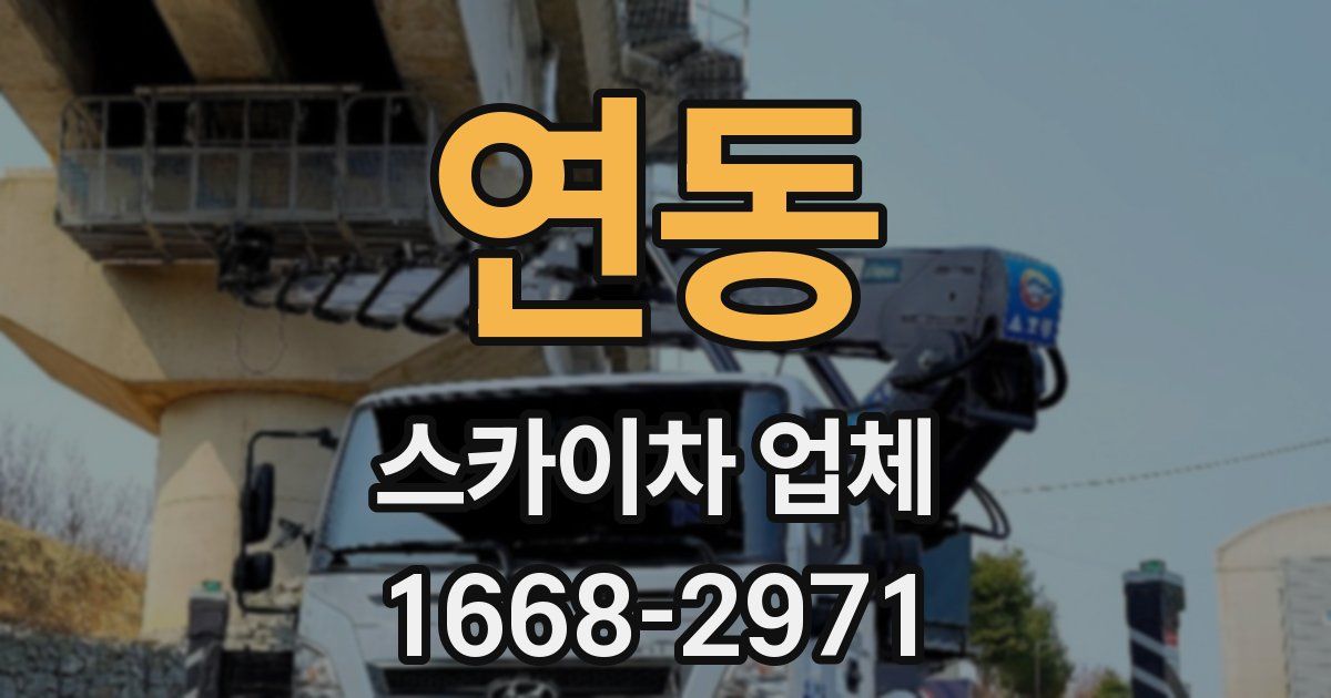연동 스카이차 업체