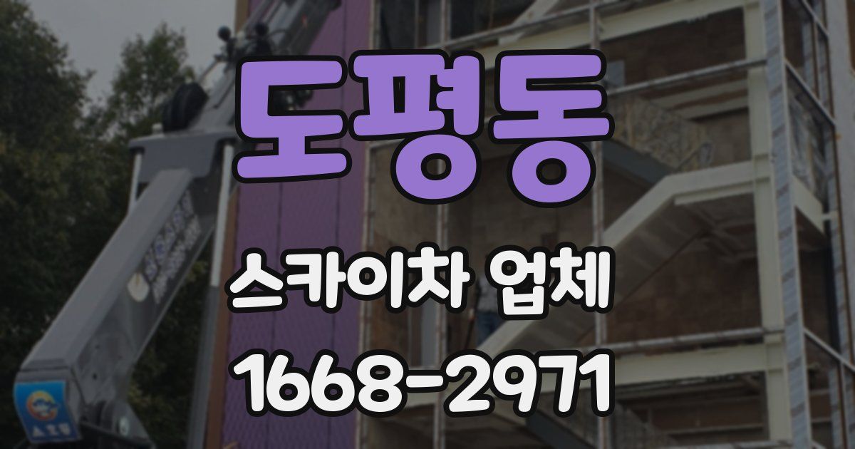 도평동 스카이차 업체