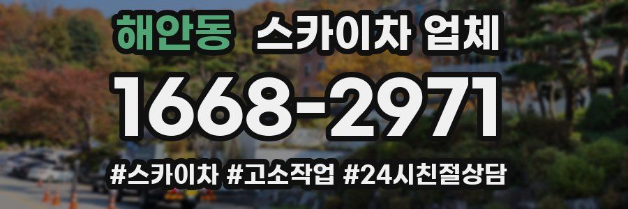 해안동 스카이차 업체