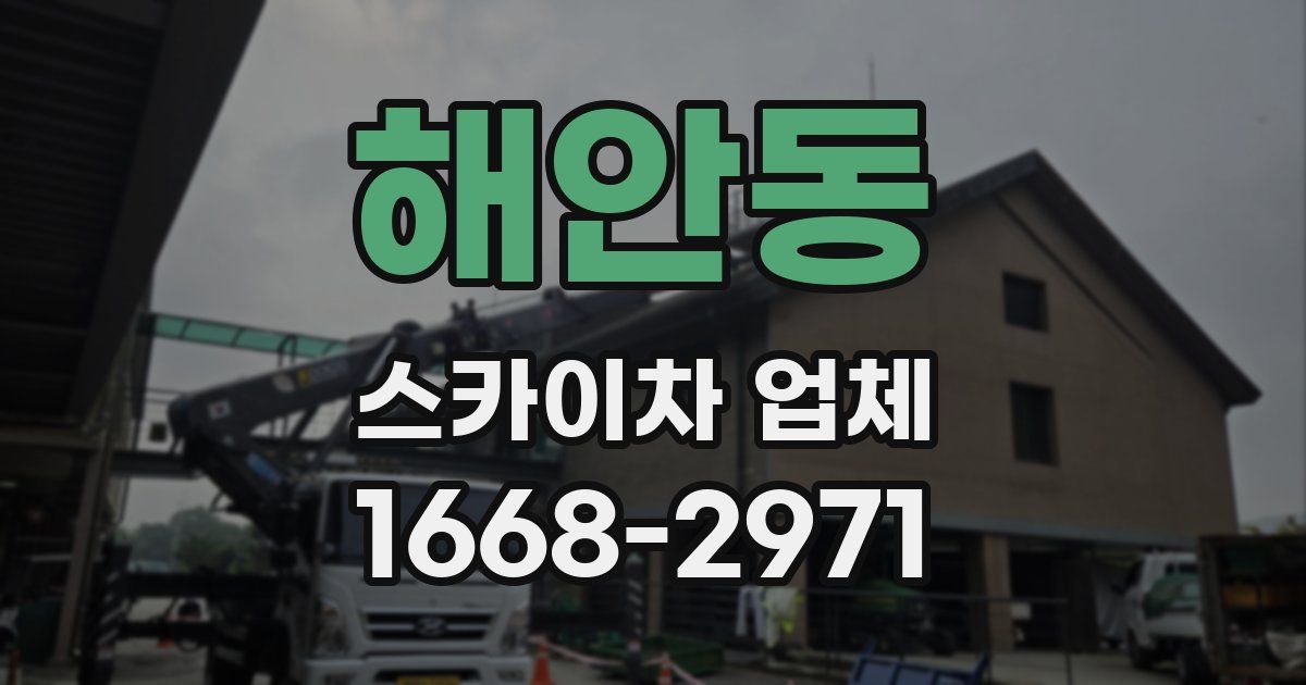 해안동 스카이차 업체
