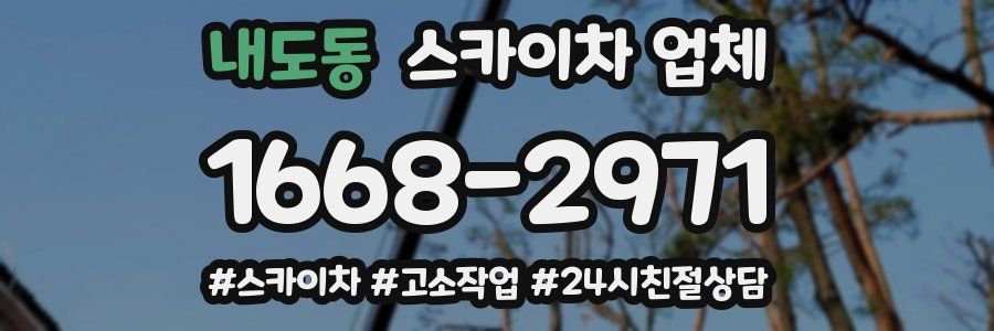 내도동 스카이차 업체